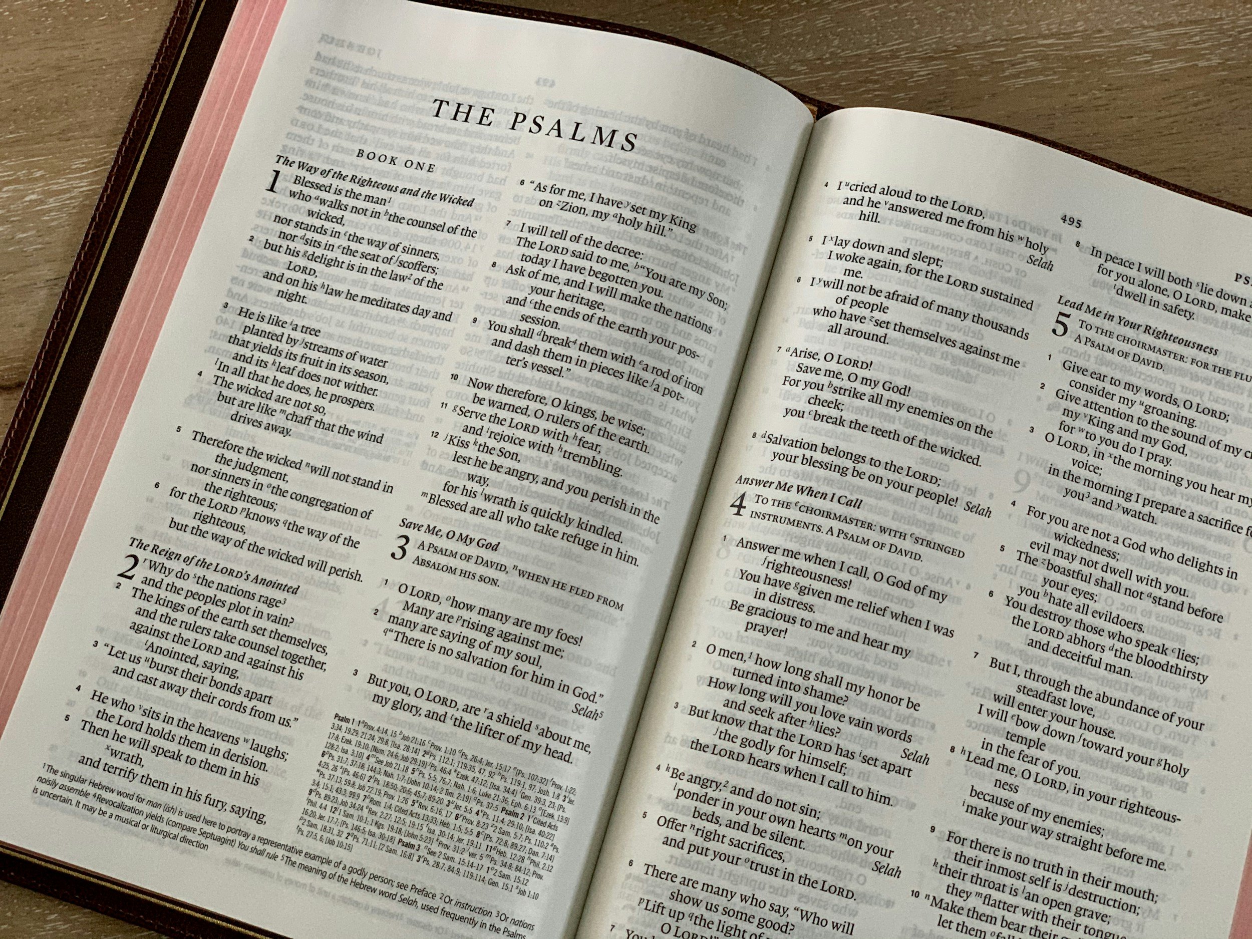 Diving Deep into the Summer Psalms