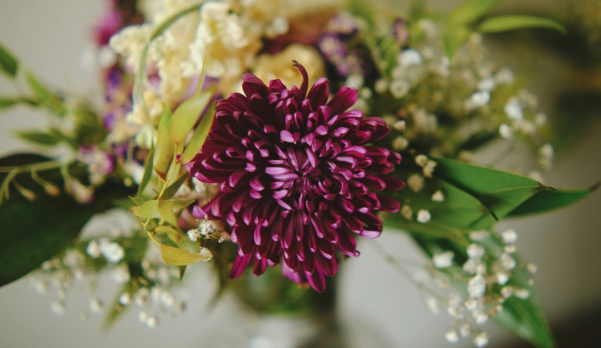 Services for Charlotte Bedell