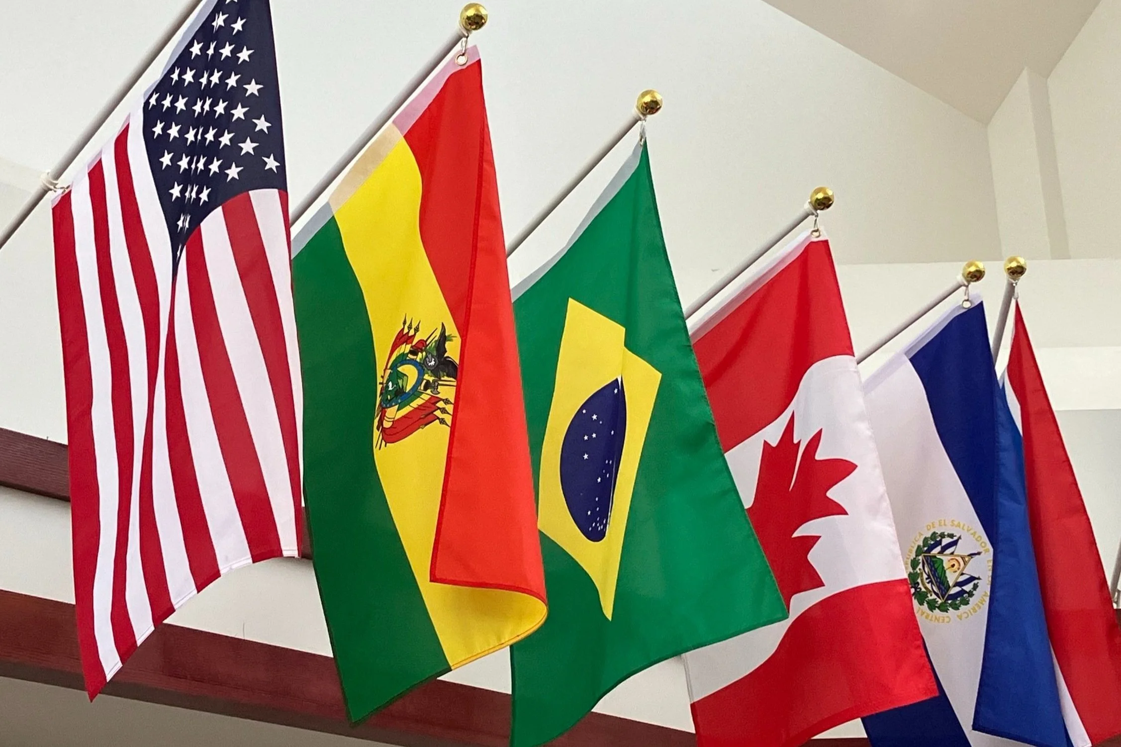 The Newsletter- September 12, 2024