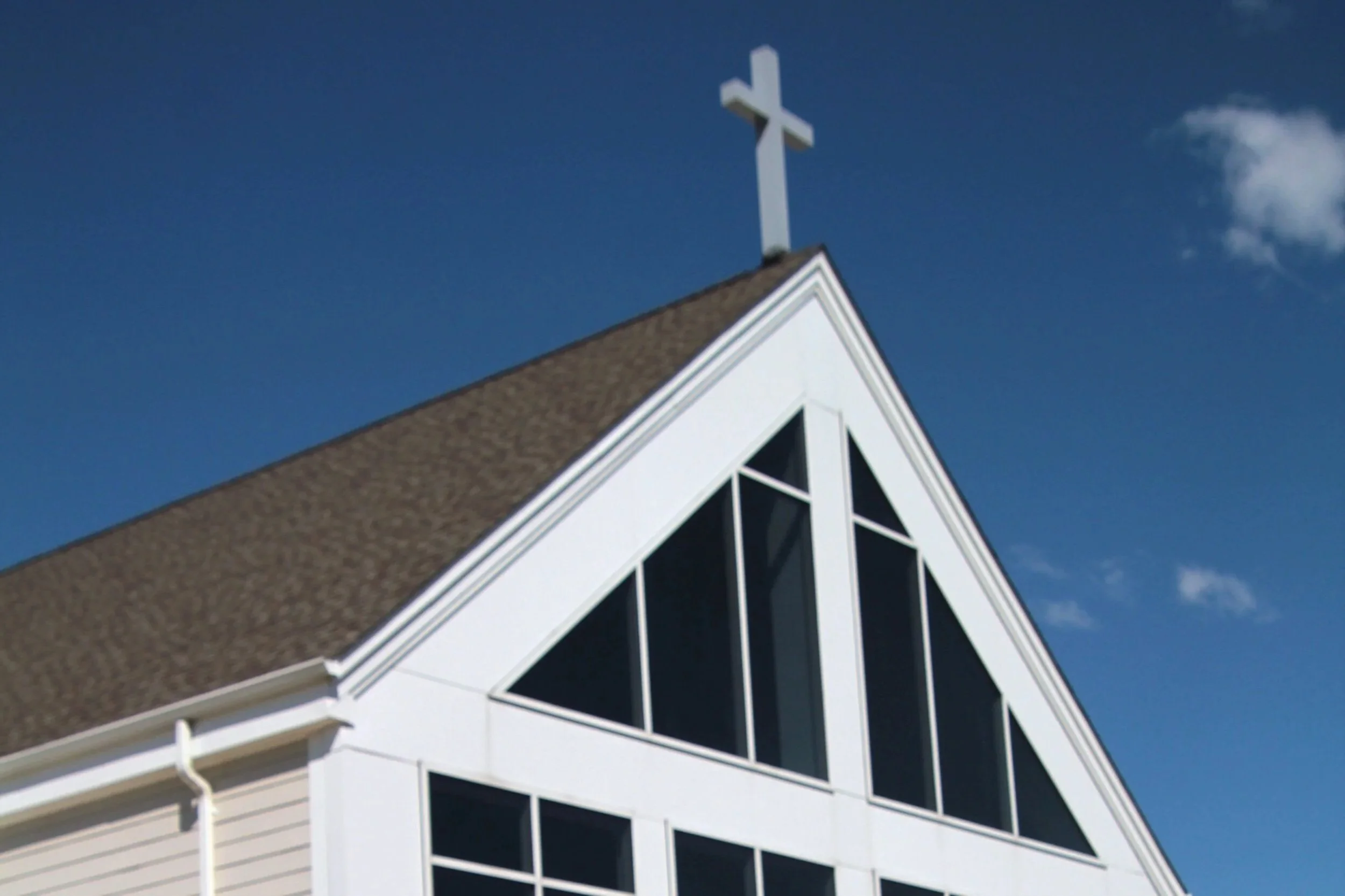 Vestry Nominees 2026