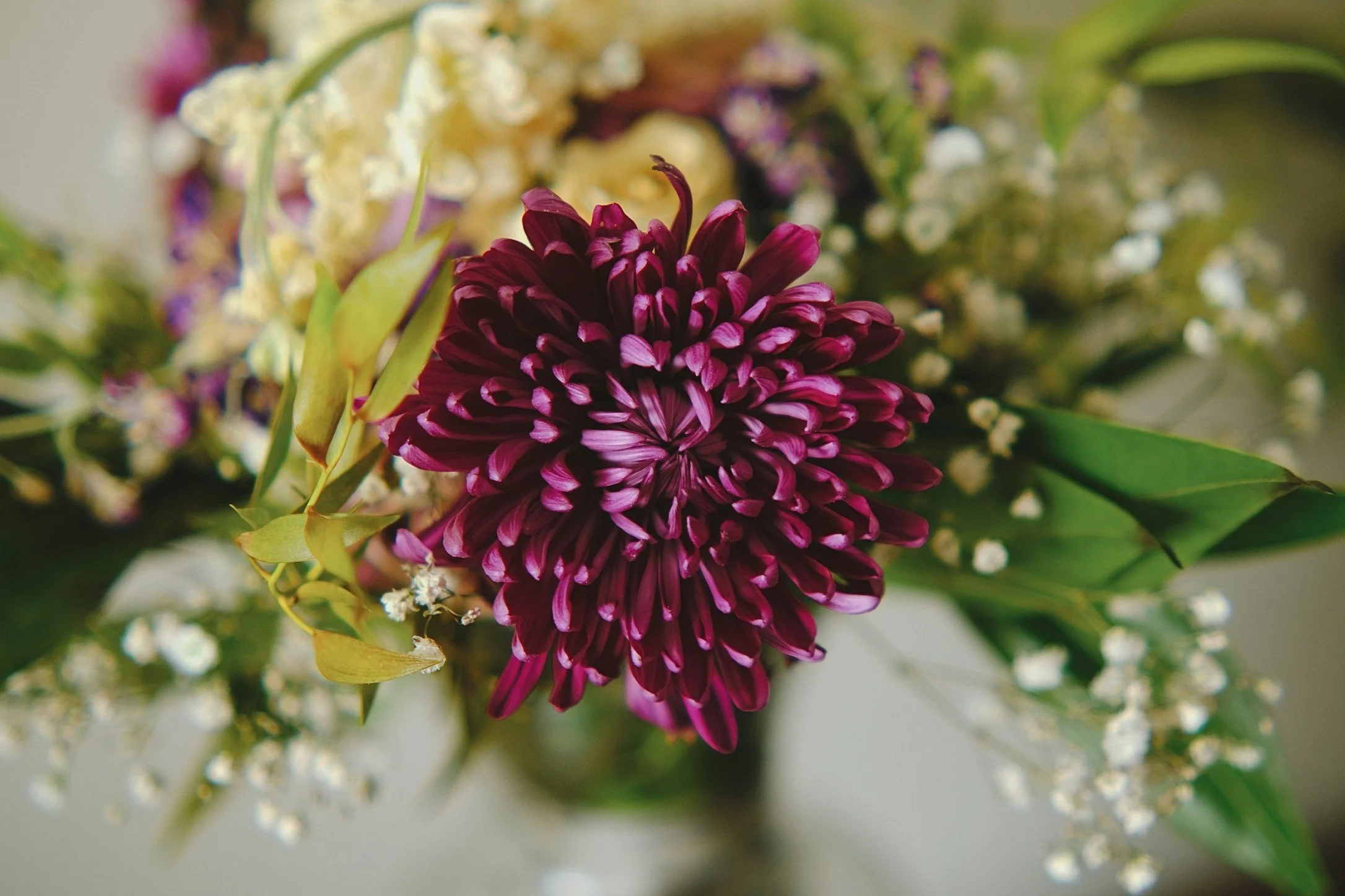 Funeral Service for Tara Pedersen's Father