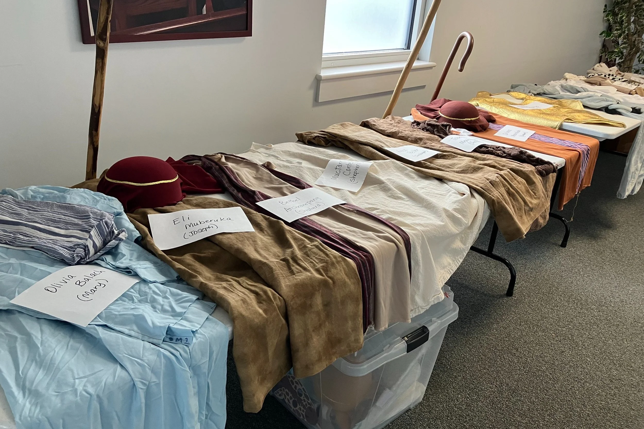 The Newsletter - December 19, 2024 