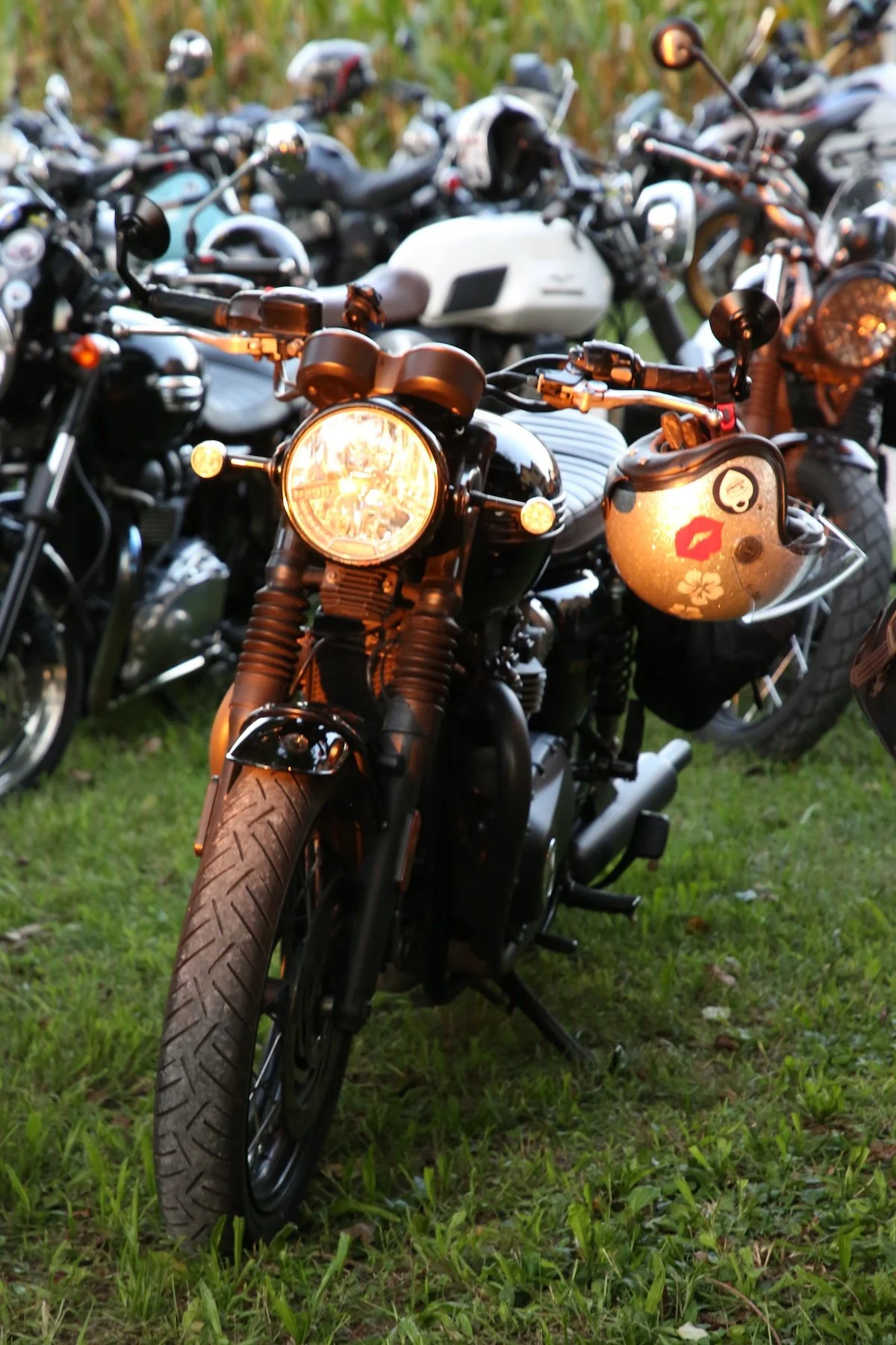 BD7A2762.JPG