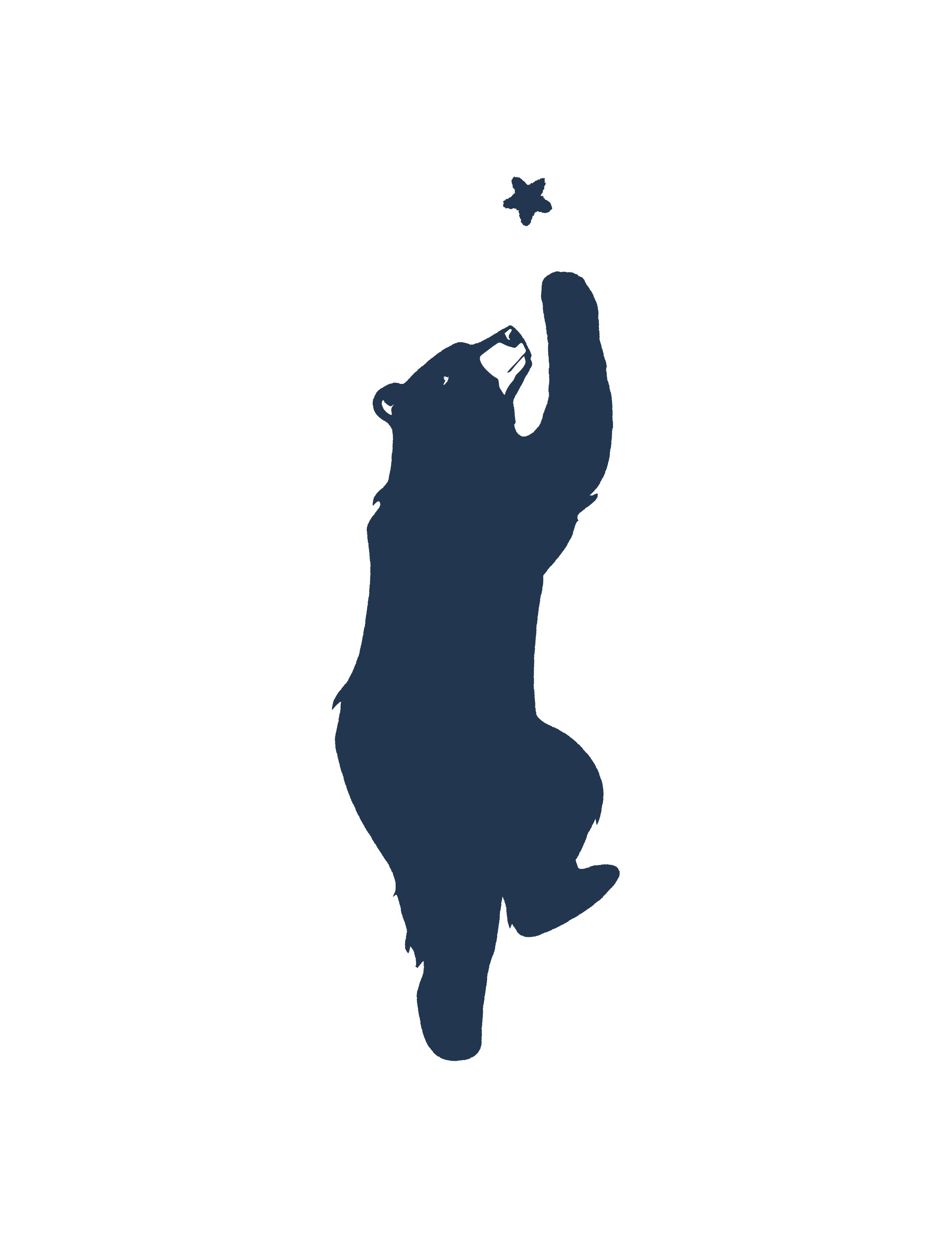 Silhouette d'un ours bleu foncé, regardant une étoile bleue, sur un fond noir.