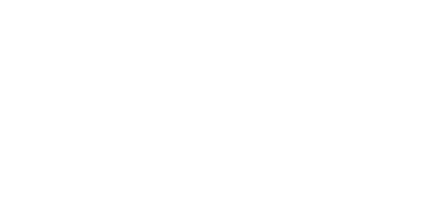 Geis Equine