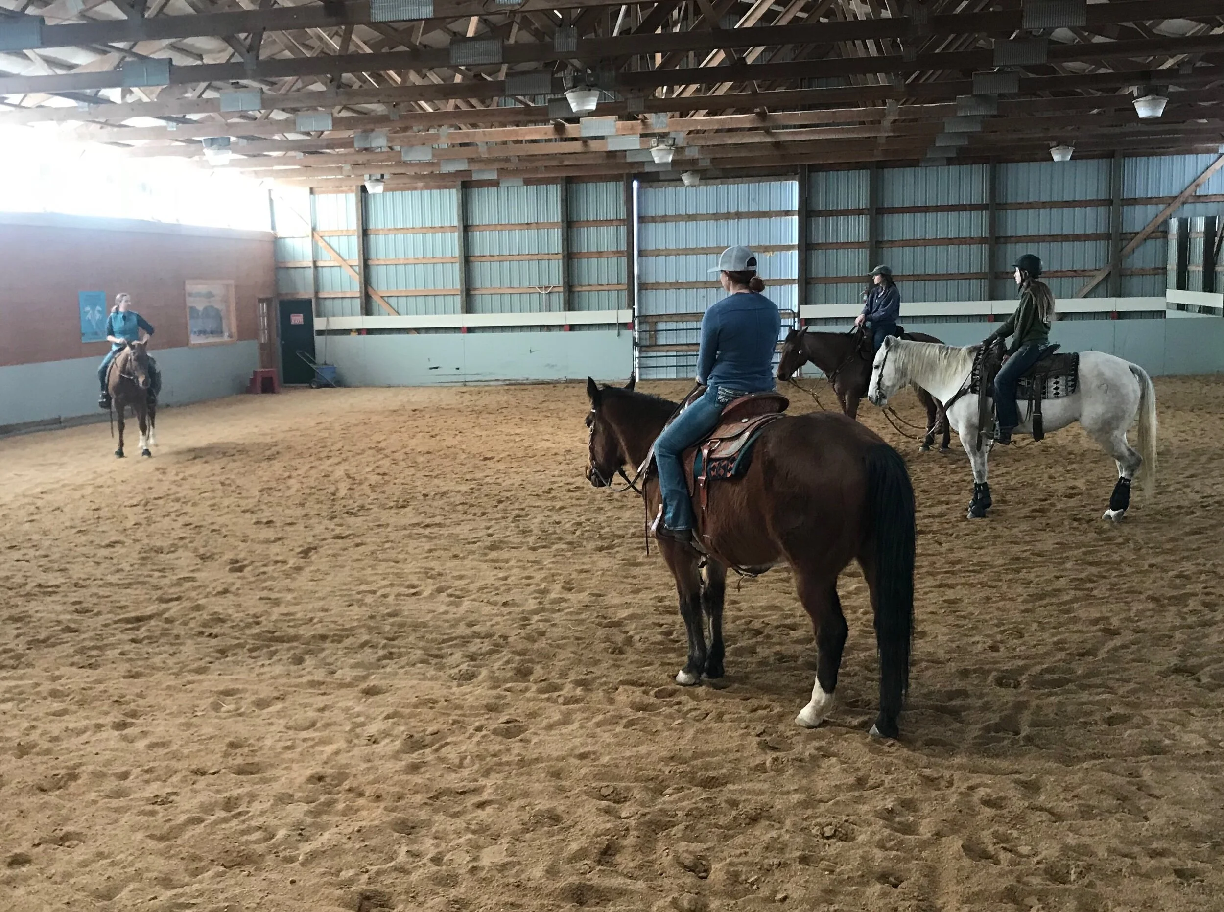 Why do Equine Professionals Disagree?