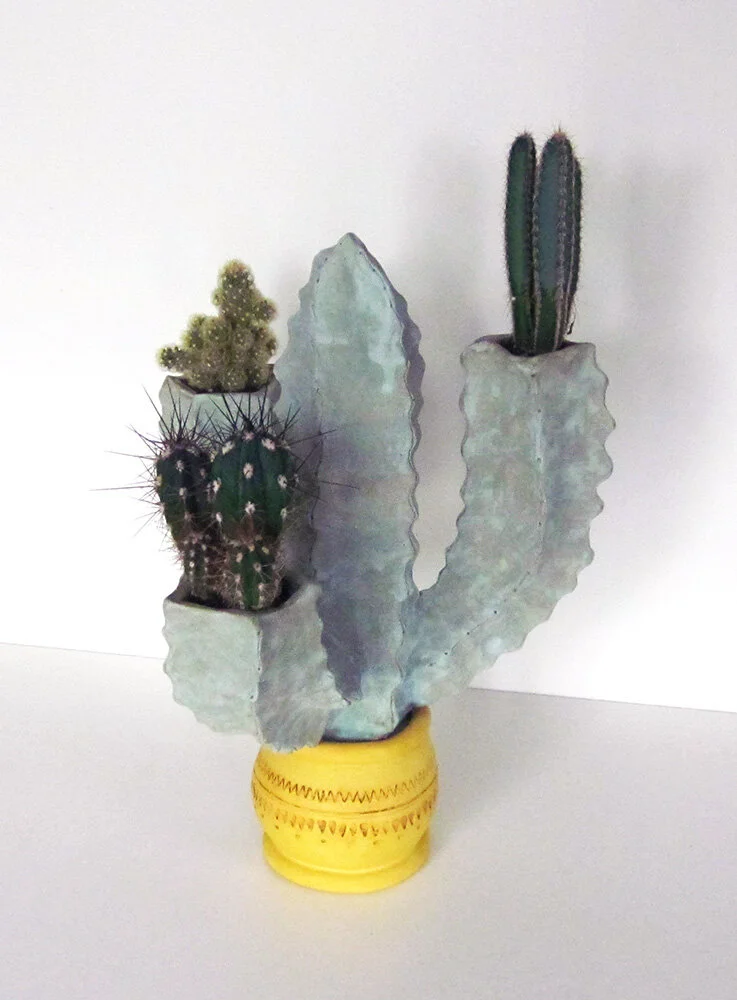 Cactus(1).jpg