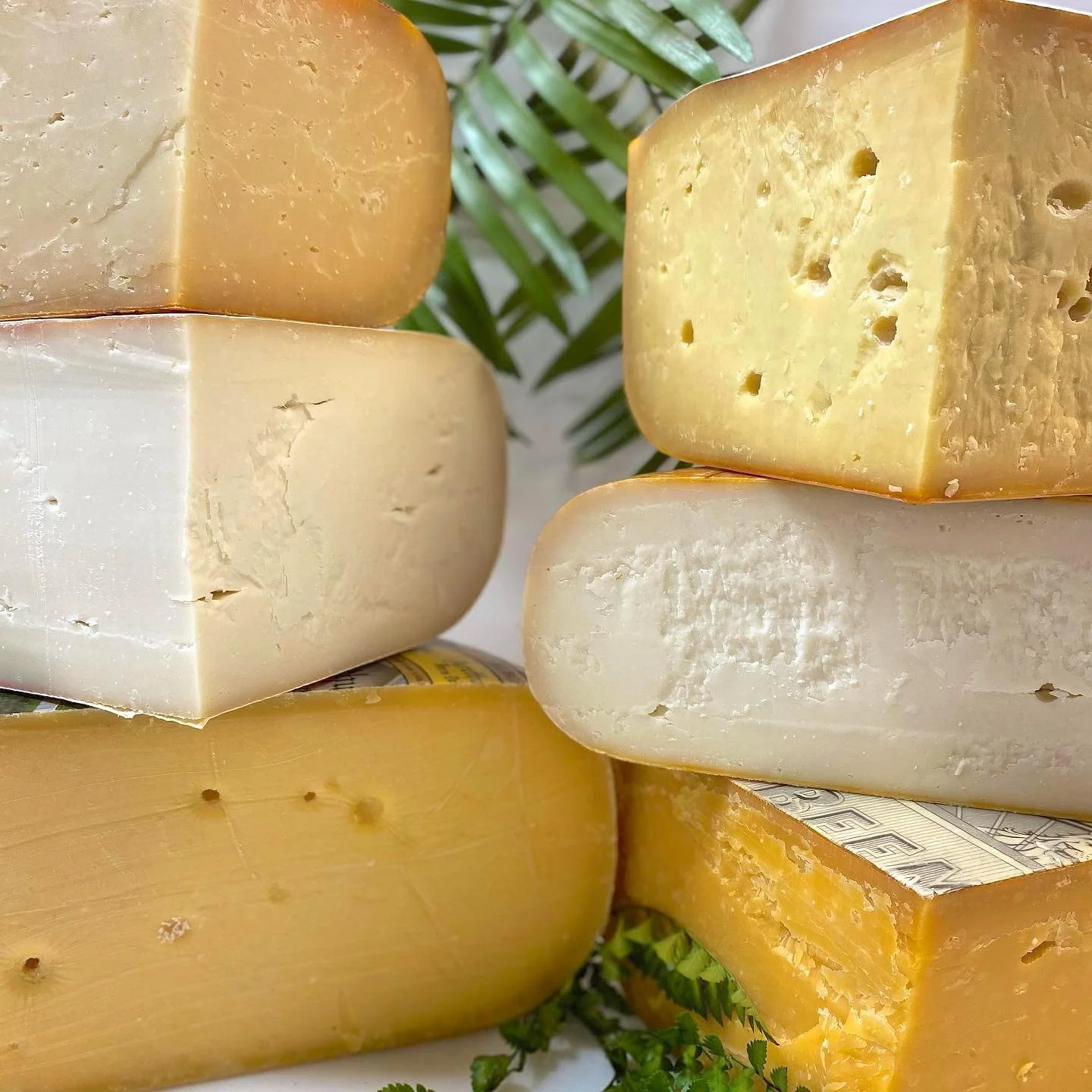 What's gouda? — Spread Cheese Co.