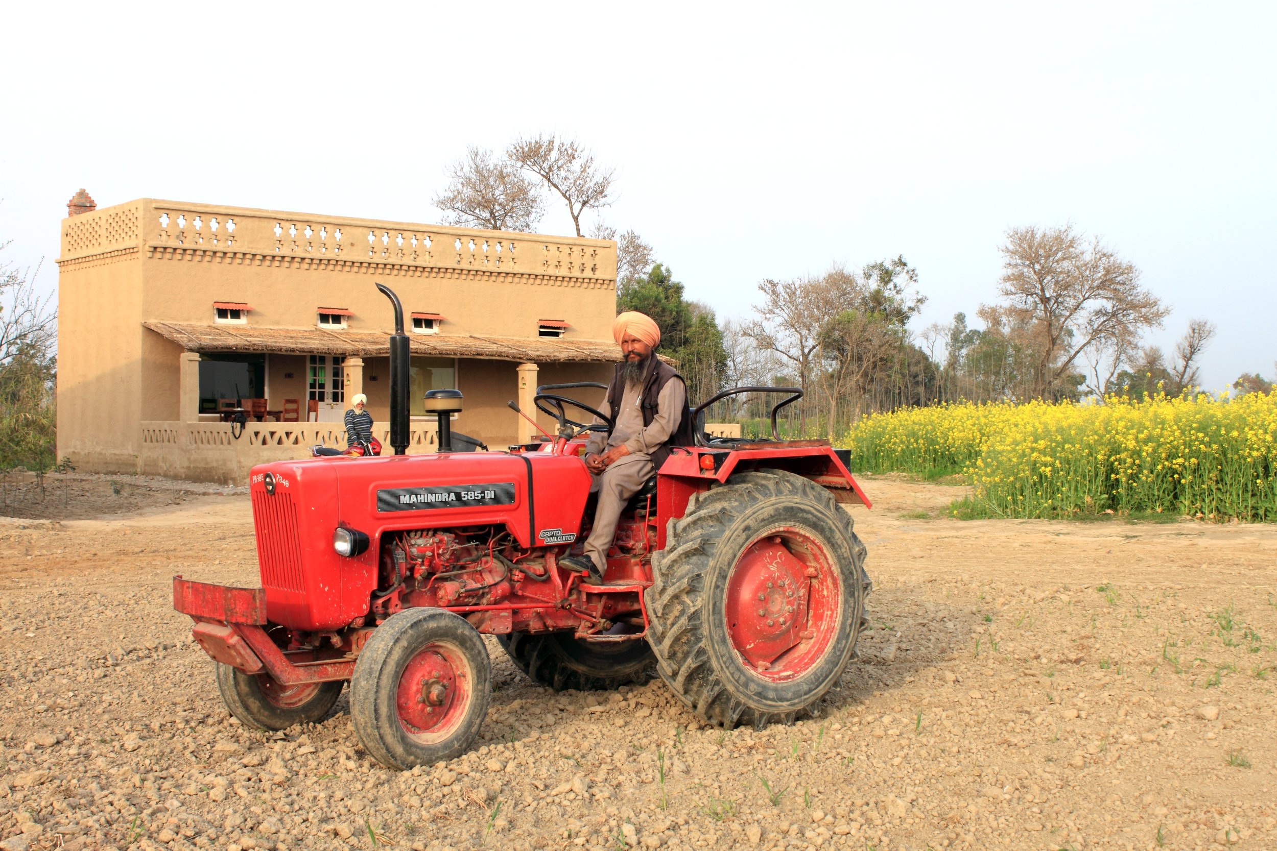  Panjab Farm 