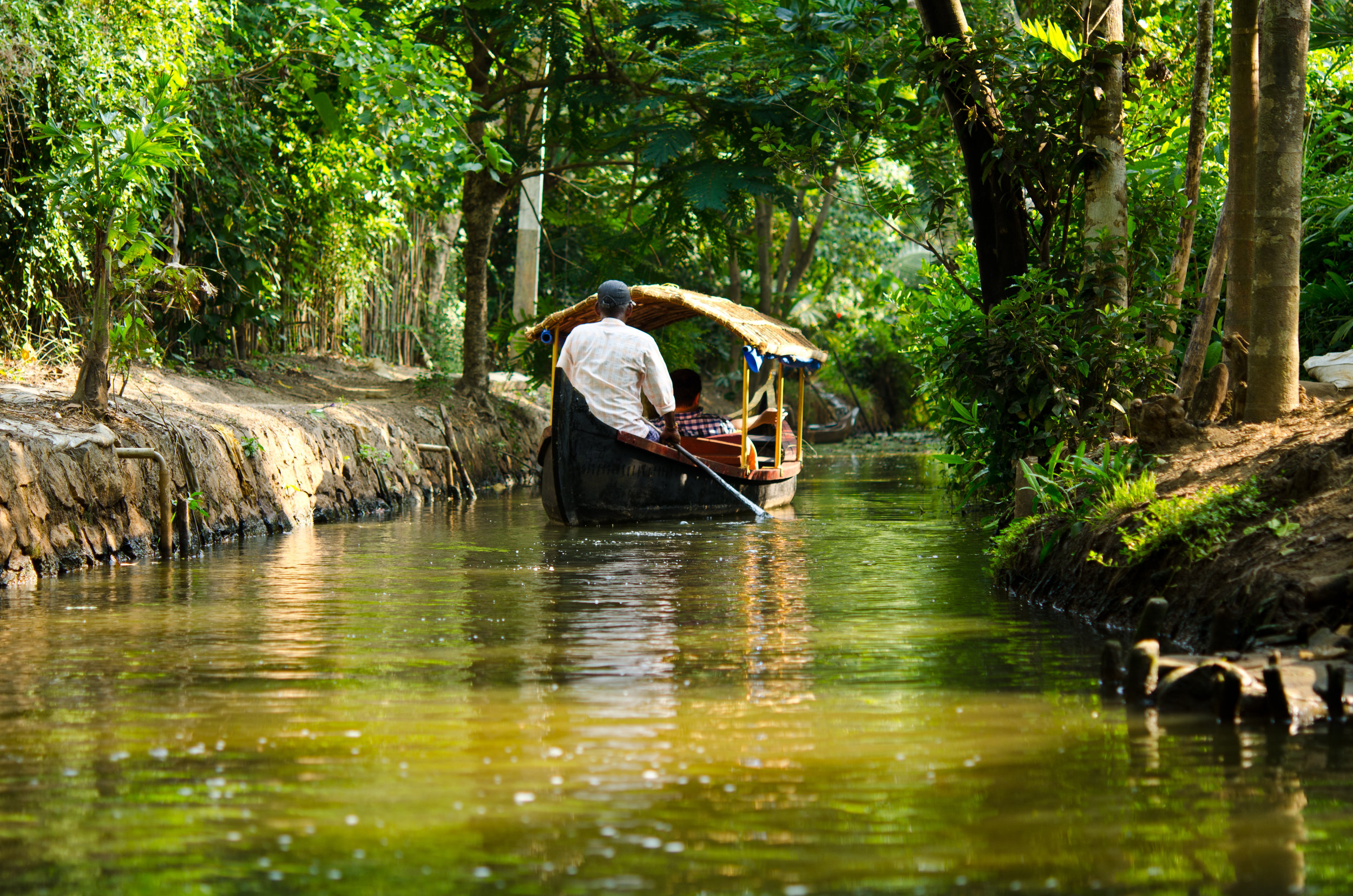  Backwaters - Kerala 