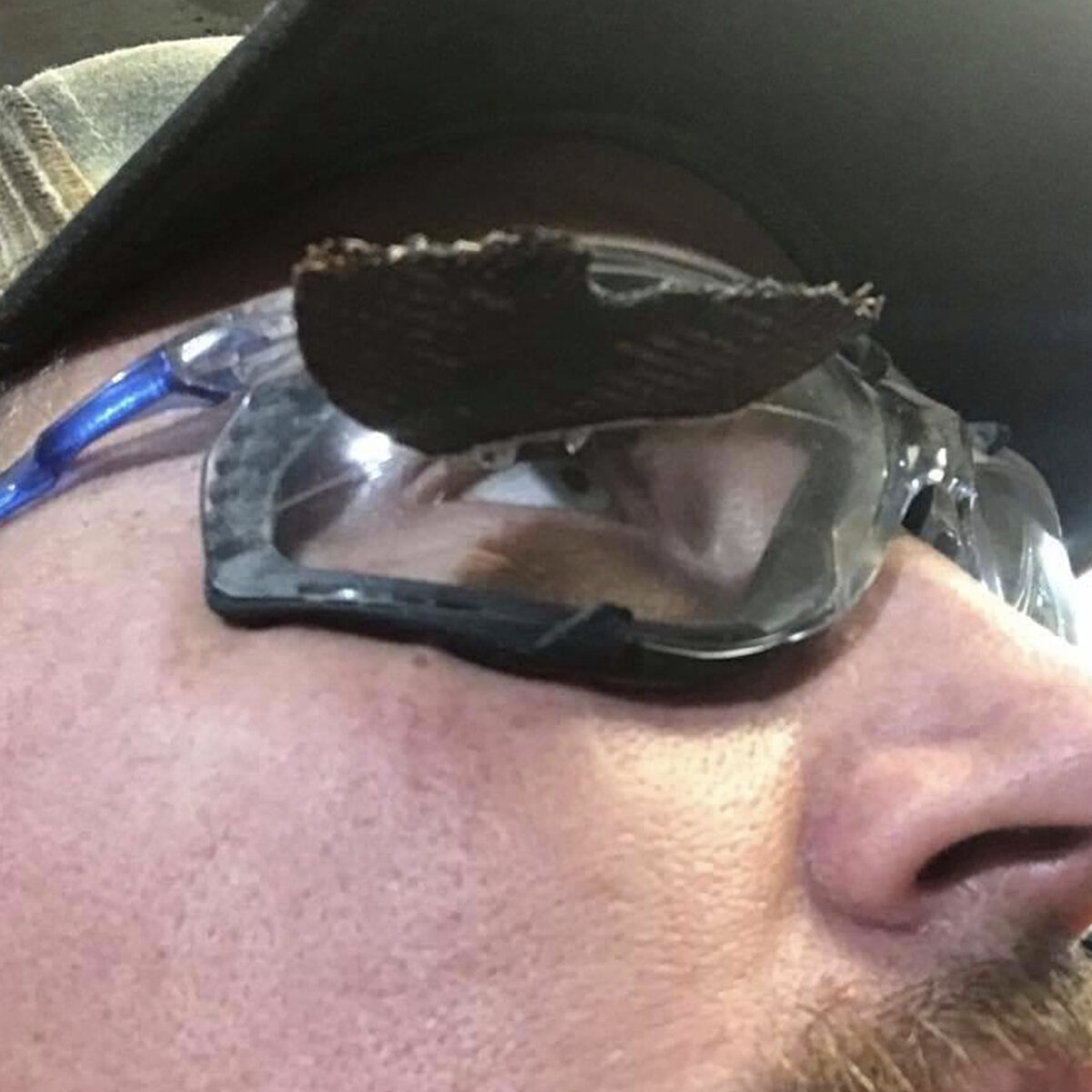 Eye Safety