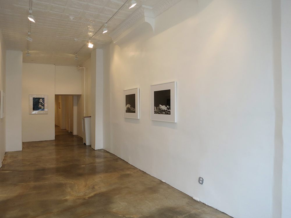 Hionas Gallery, New York, USA, 2013
