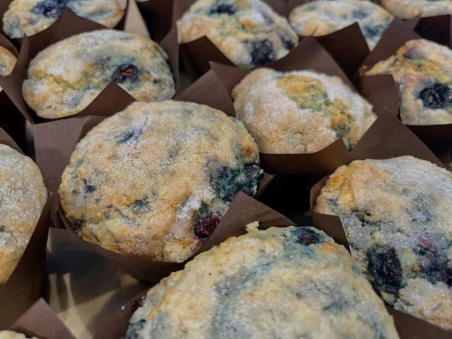 Do you know the muffin man? Neither do we, but come get a muffin anyway! Baked fresh for you today! 🫐

#blueberrymuffins #themuffinman #shoplocal #fresh daily #breadandchocolate