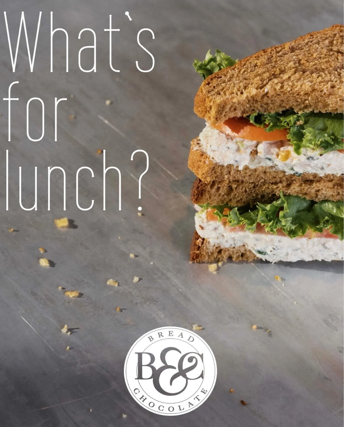 At Bread &amp; Chocolate you can have whatever you want! 

We offer a variety of paninis, omelettes, and sandwiches, made to order daily&mdash; not to mention our selection of fresh baked pastries. Comes with chips or a side salad. Many vegetarian op