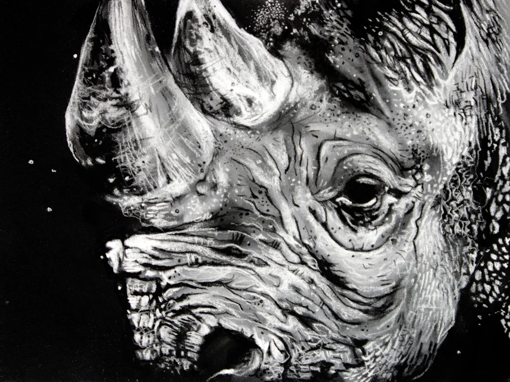 Black Rhino_Sharlena Wood.jpg