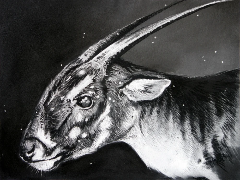 Saola Final_Sharlena Wood.jpg