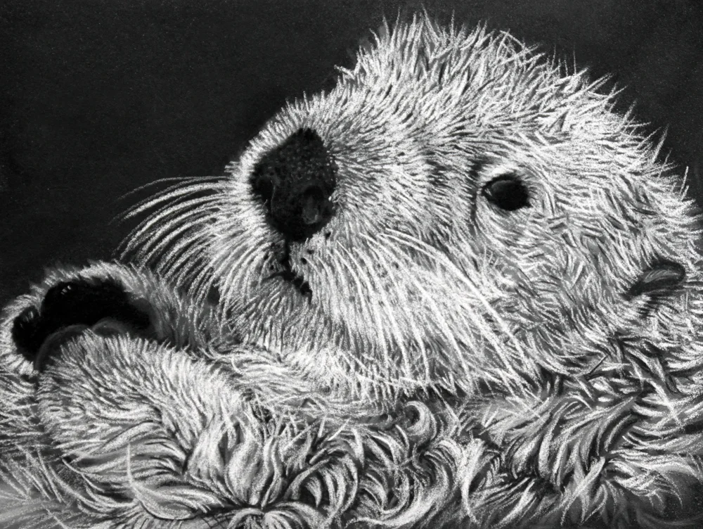 Sea Otter_Sharlena Wood.jpg