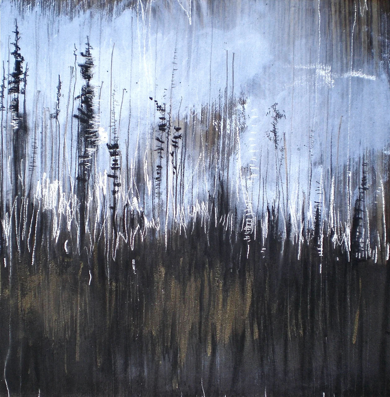 burnt trees zebrawood_sharlena wood.jpg