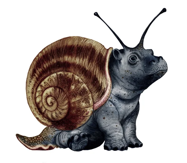 Baby Snappo.jpg