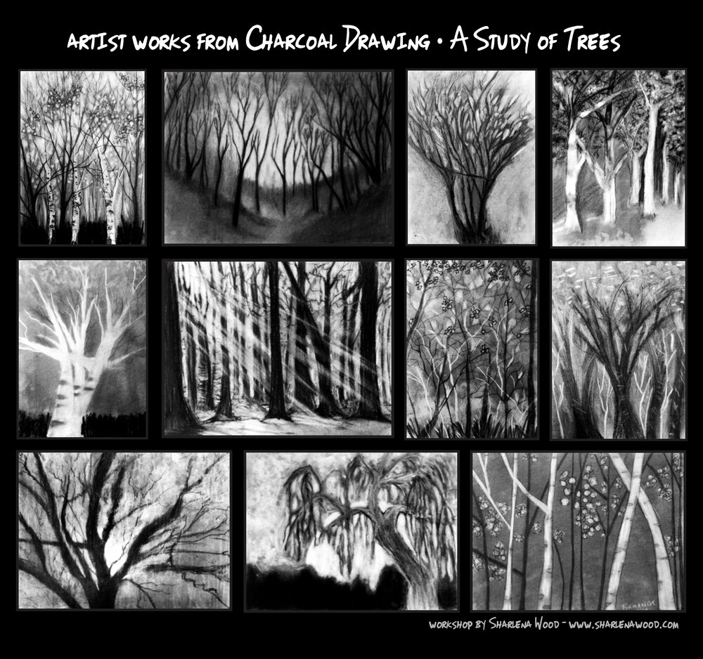 Charcoal Drawing Workshop • A Study of Trees — Sharlena Wood