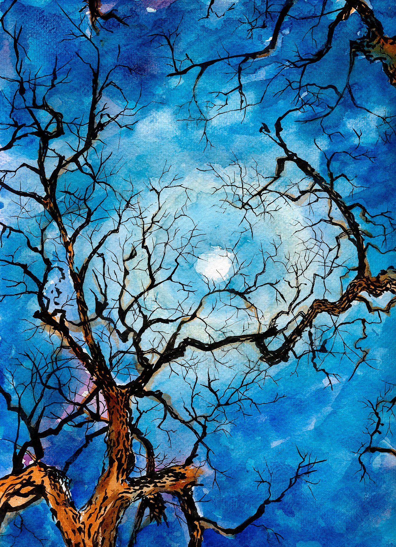 moonlight-trees.jpeg