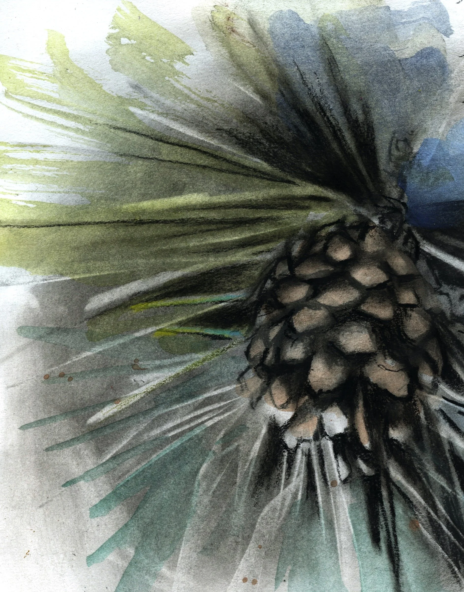 Fearless Drawing Foundations