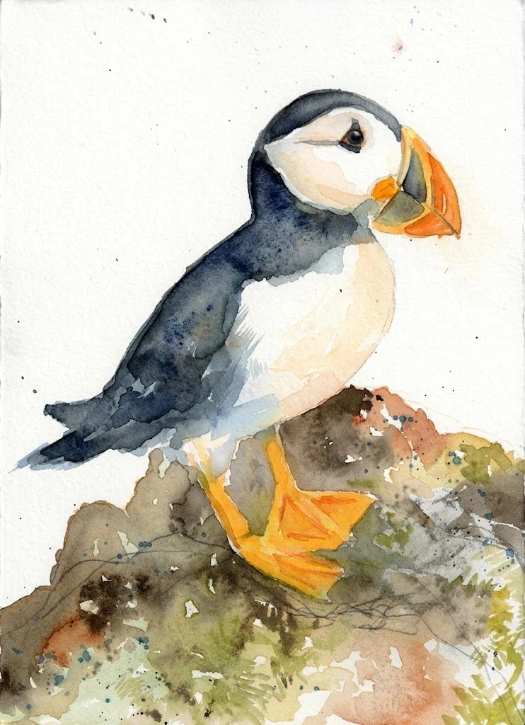 St.John's, Newfoundland Classes