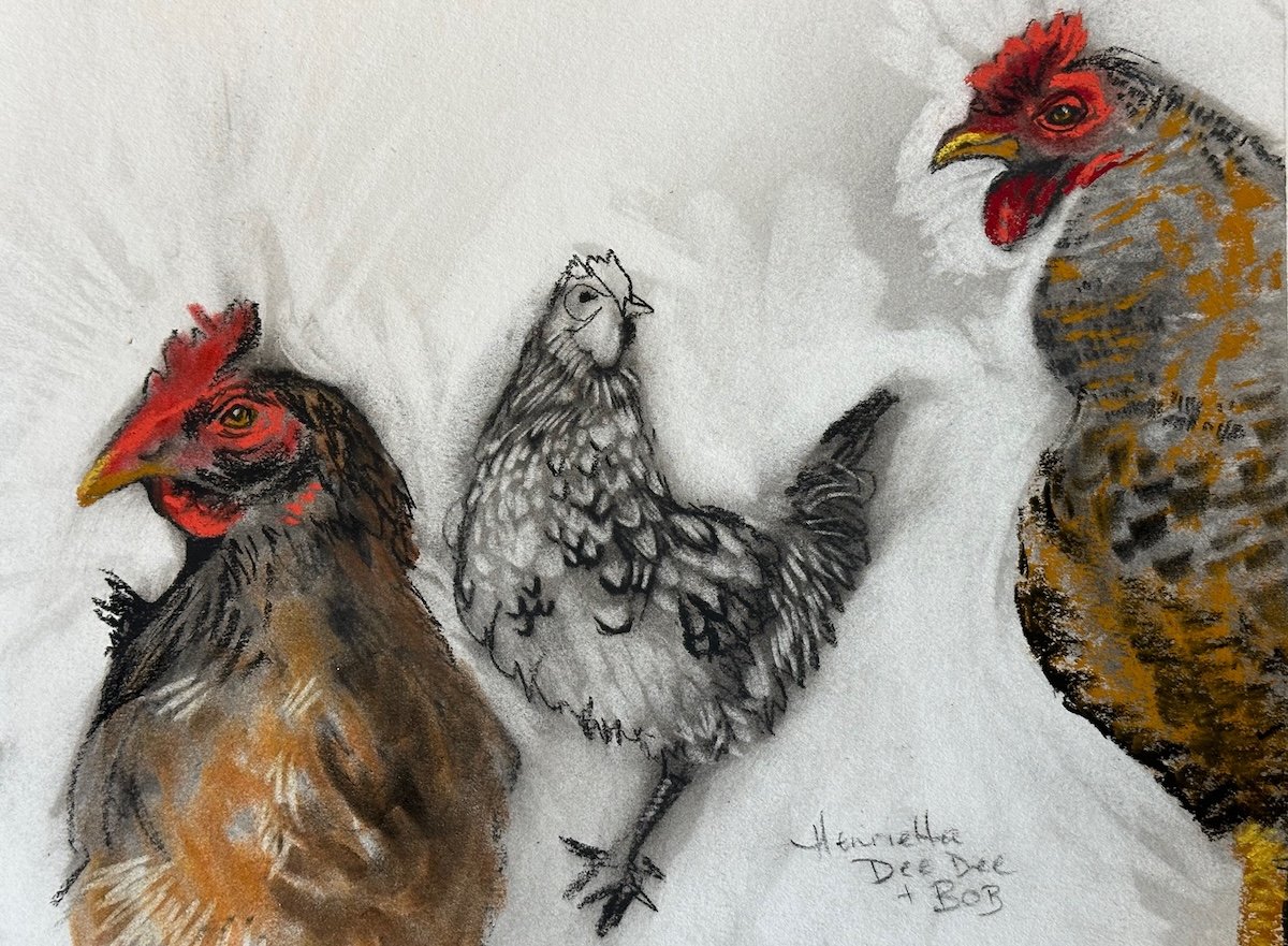 Chicken Party 