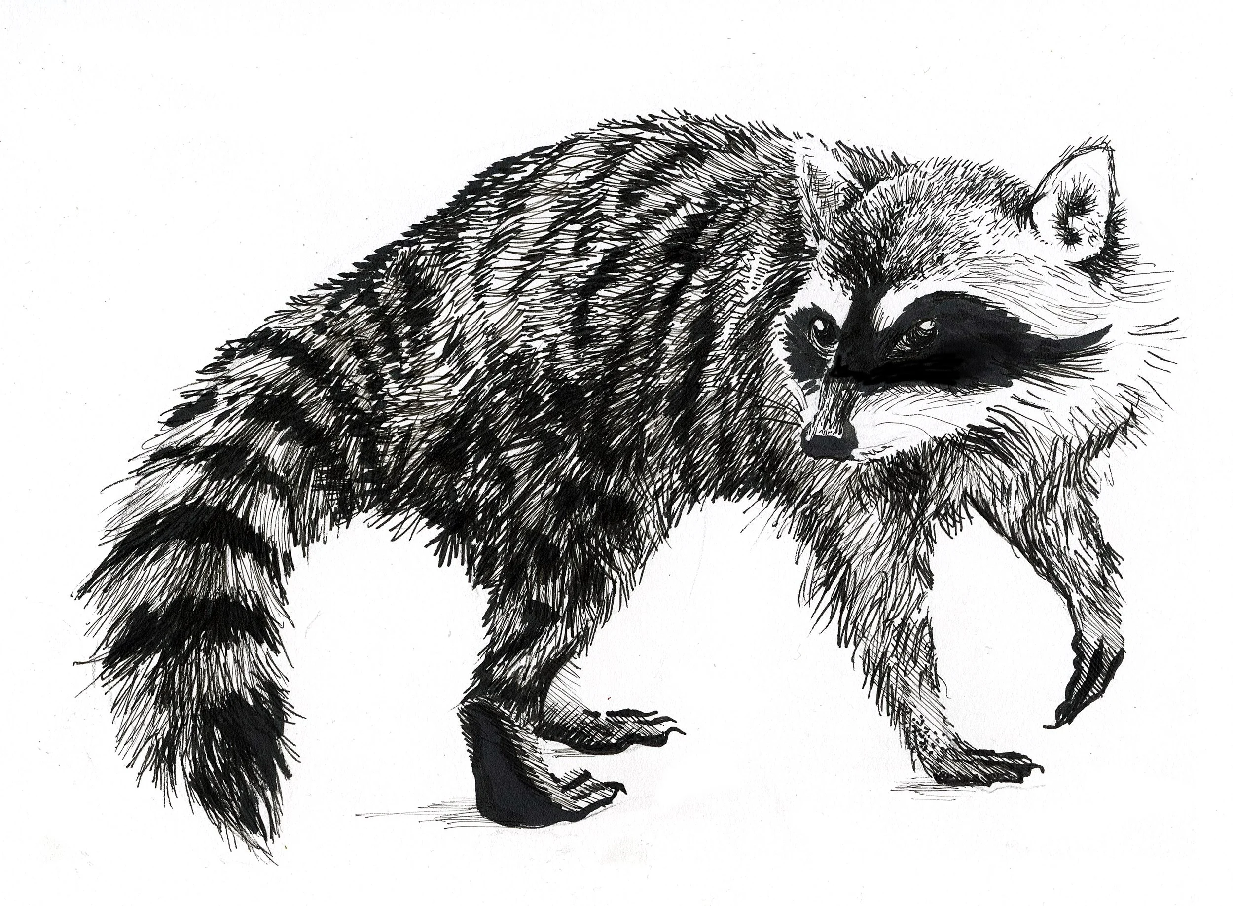 Loyalist College Summer Arts • Belleville Campus