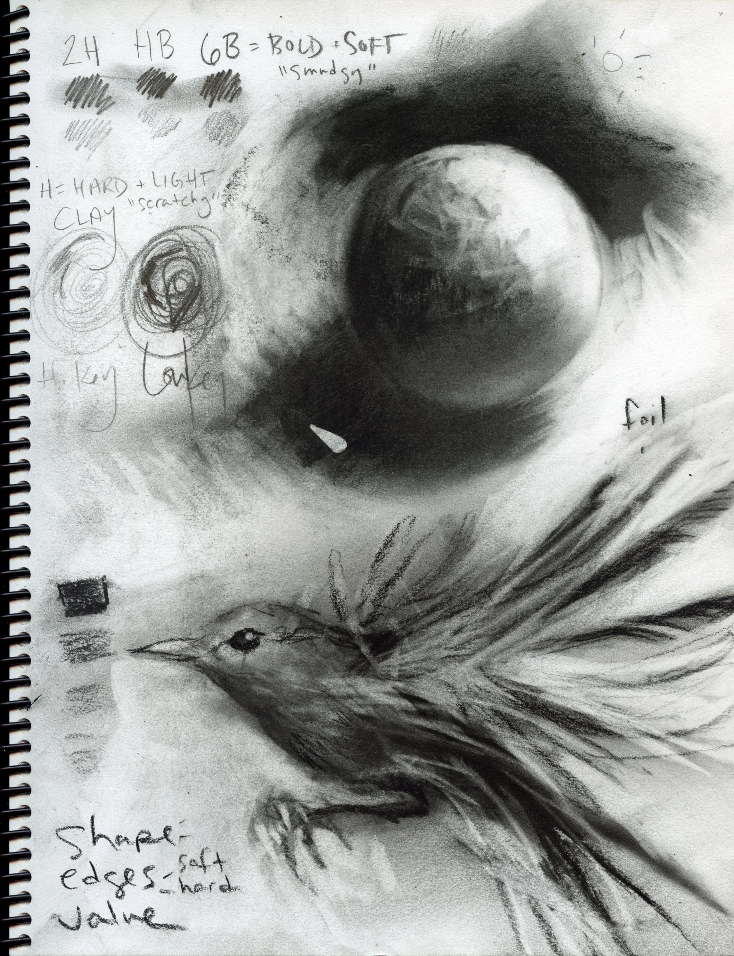 charcoal drawing class private teaching.jpg