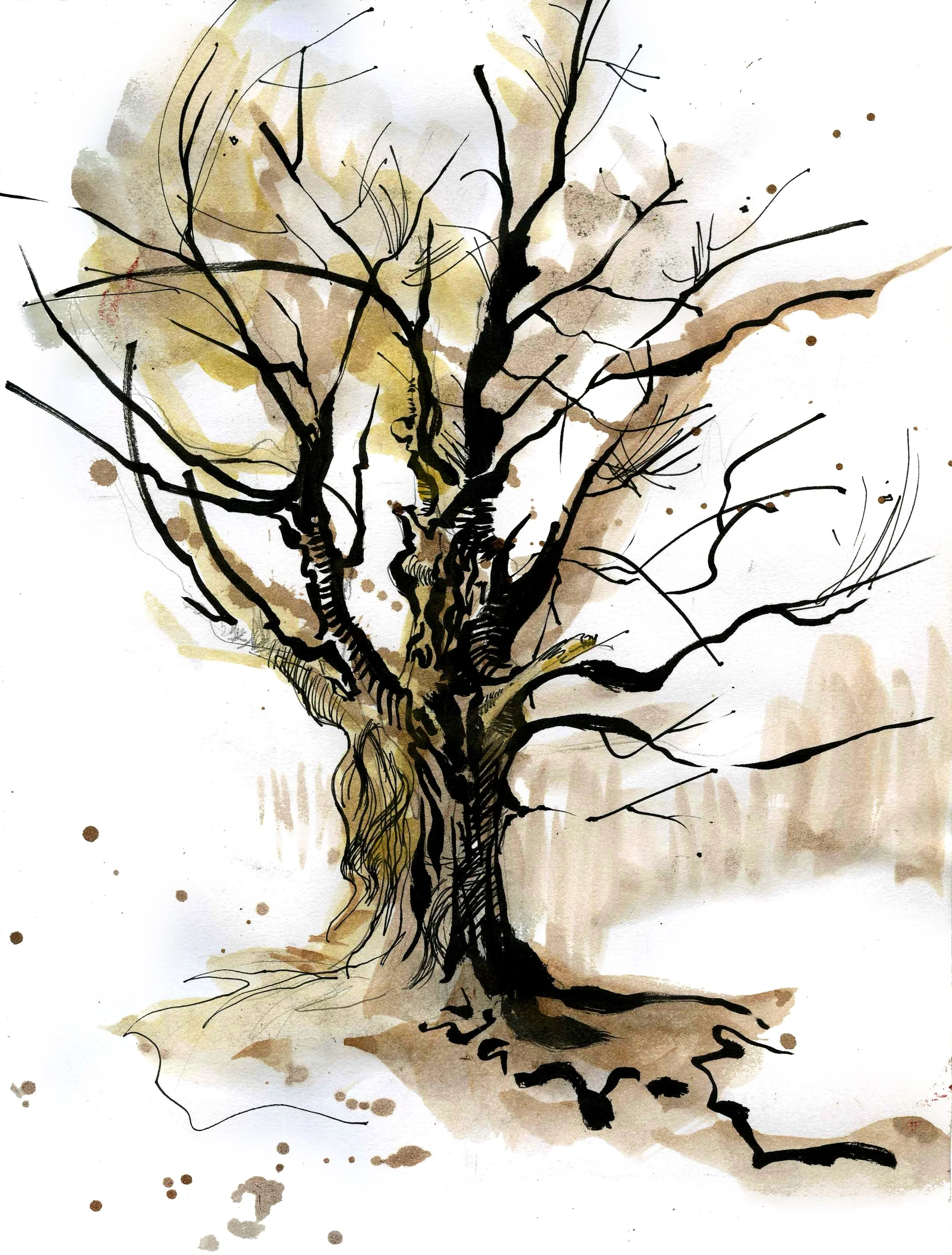 Tree Portraits: Capturing the Soul of the Forest