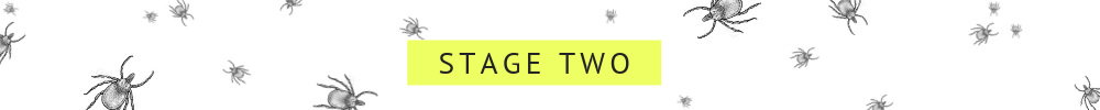Copy of Copy of Copy of Copy of Yard(4).png