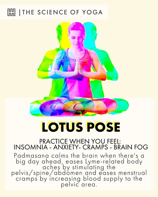 Feel like moving your body today? Here&rsquo;s an excerpt from the Digital Academy to get you going. (Who would have thought that #lotuspose is more than just a good stretch?!)
_
How are you finding new ways to exercise or connect with your body duri