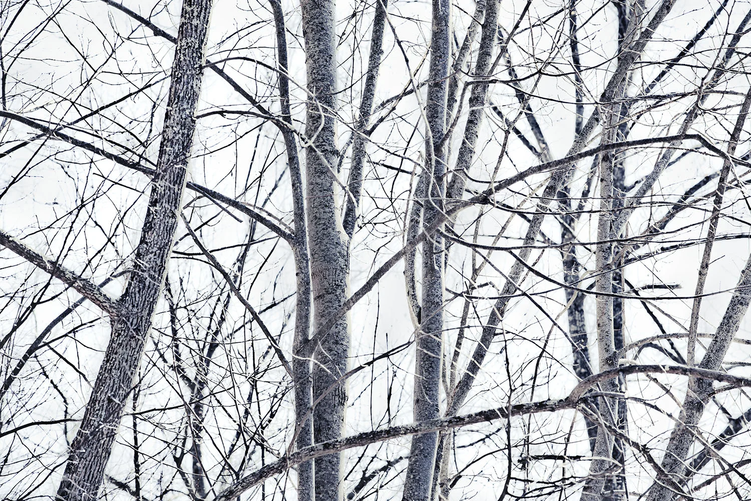 Robert H. Treman State Park, Tompkins County, NY, 2015