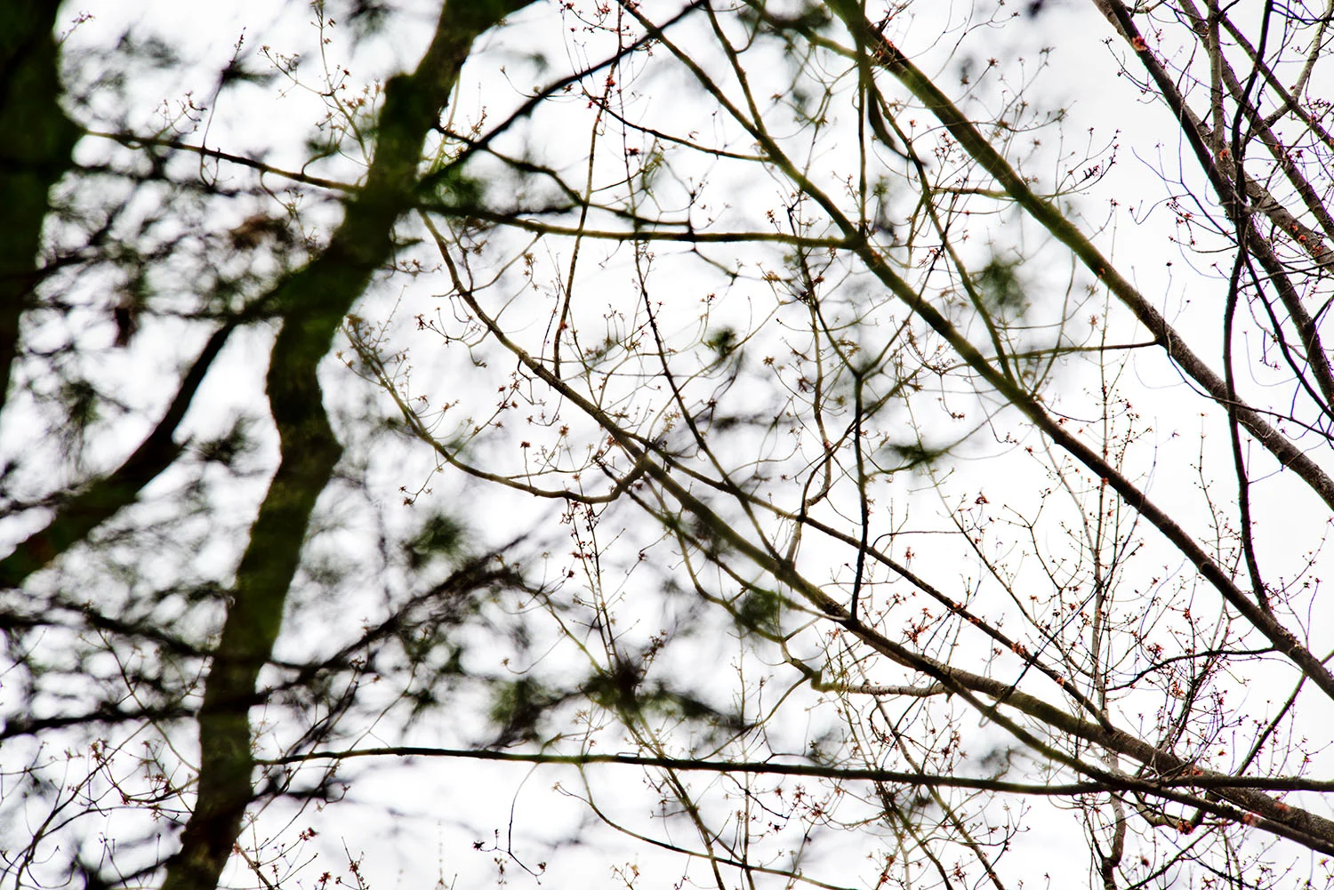Pine Creek Valley, Lycoming County, PA, 2015