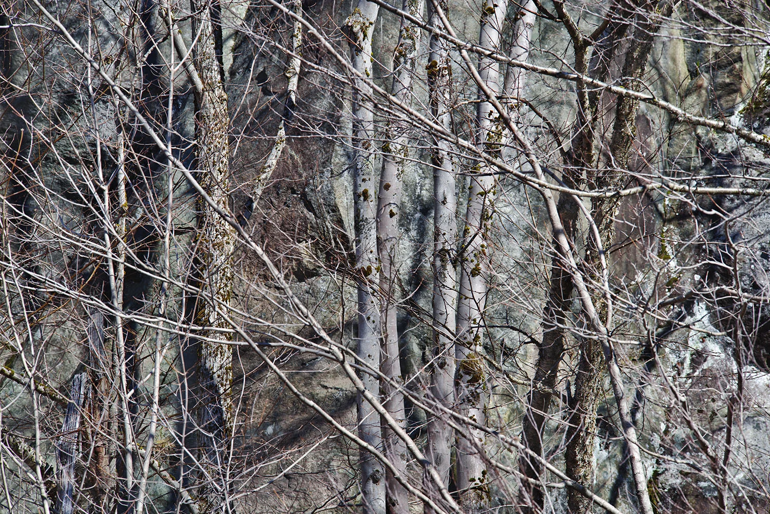 Old Forge, Adirondack Park, NY, 2015