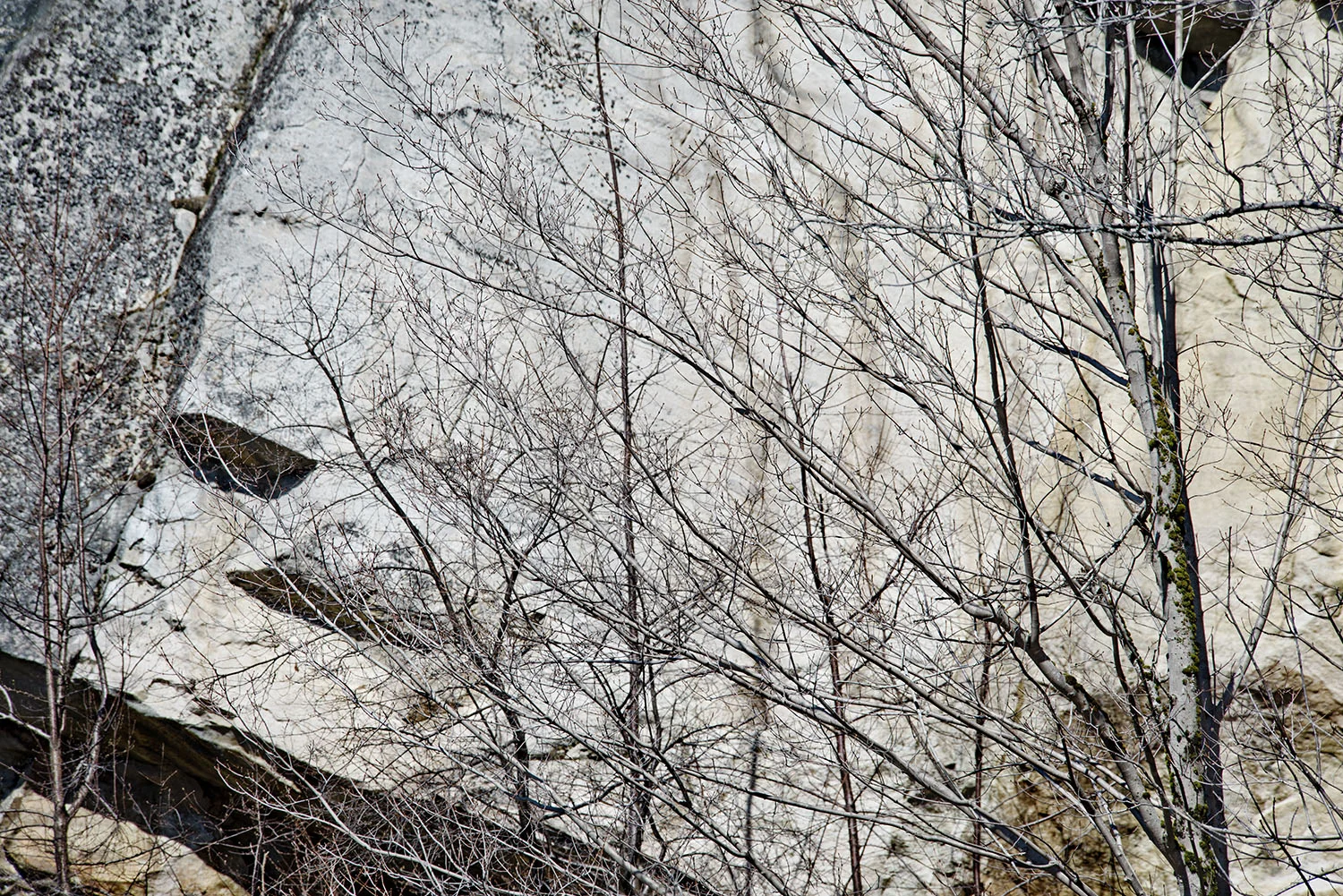 Old Forge, Adirondack Park, NY, 2015