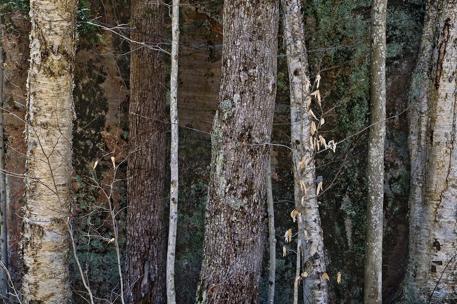 Moose River, Adirondack Park, NY, 2015