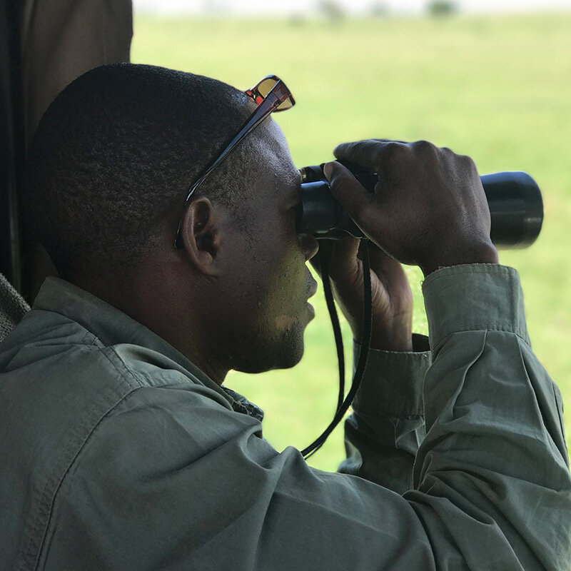 african-safari-guide-looking-through-binoculars.jpg