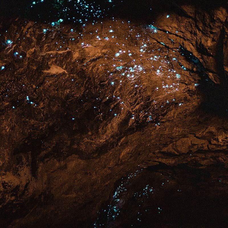 glow-worm-cave-in-new-zealand.jpg