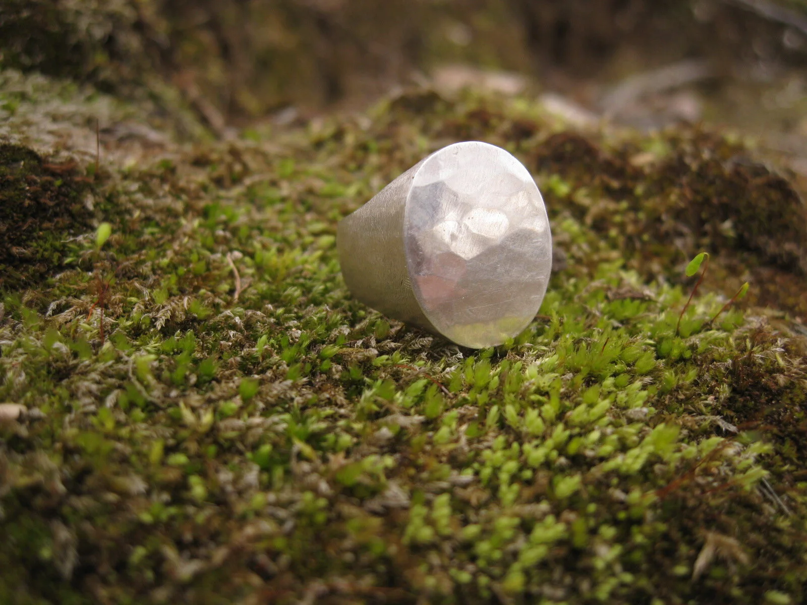 Oval Forged Signet, Size 8.5