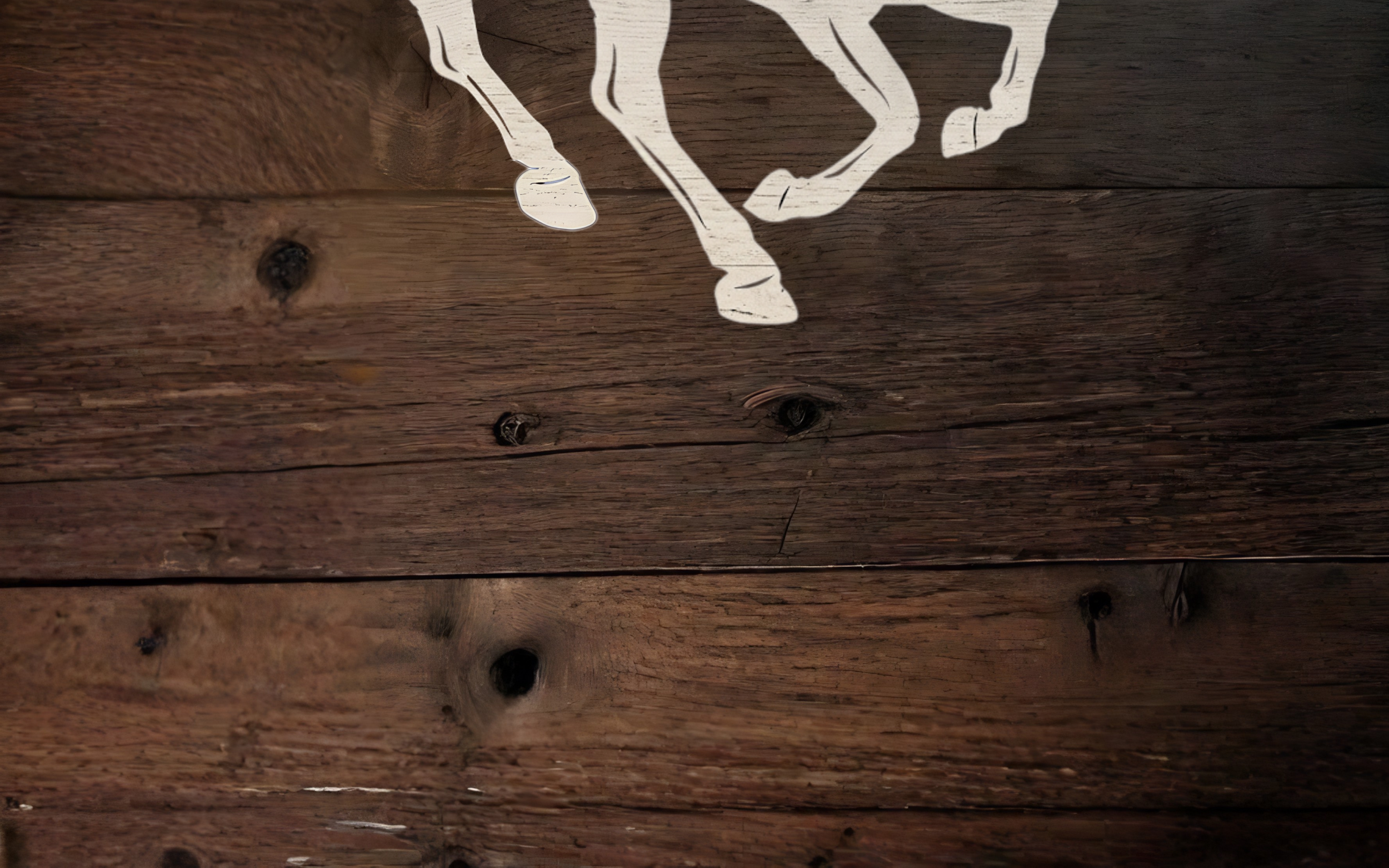 Untitled design (6) copy 4.png