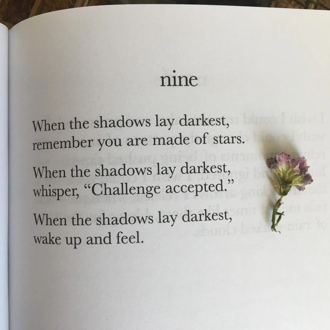 nine-theshebook.jpeg