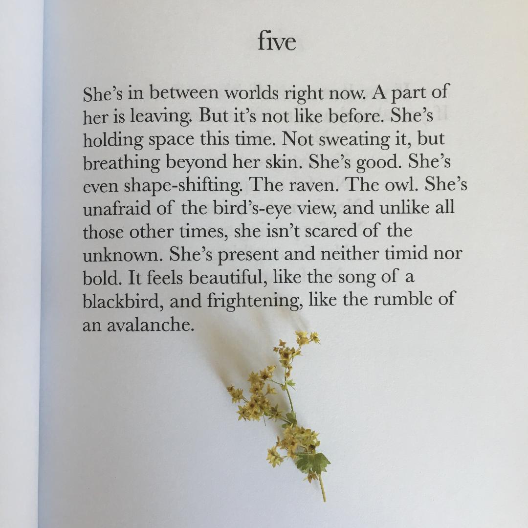 five-theshebook.jpeg