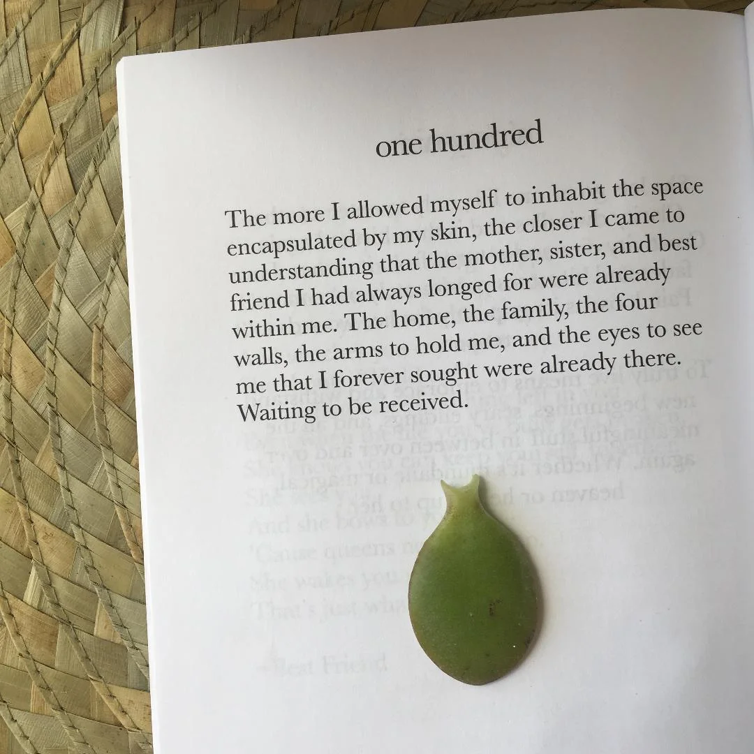 one hundred.jpeg