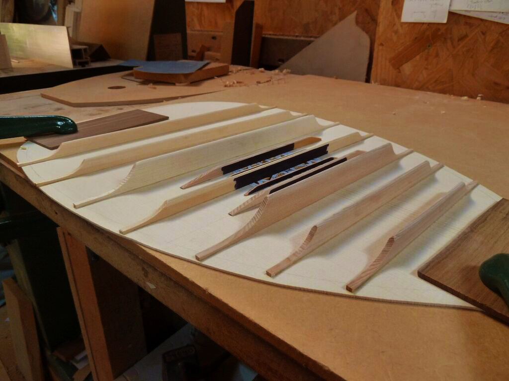 Lute soundboard bracing_preview.jpeg