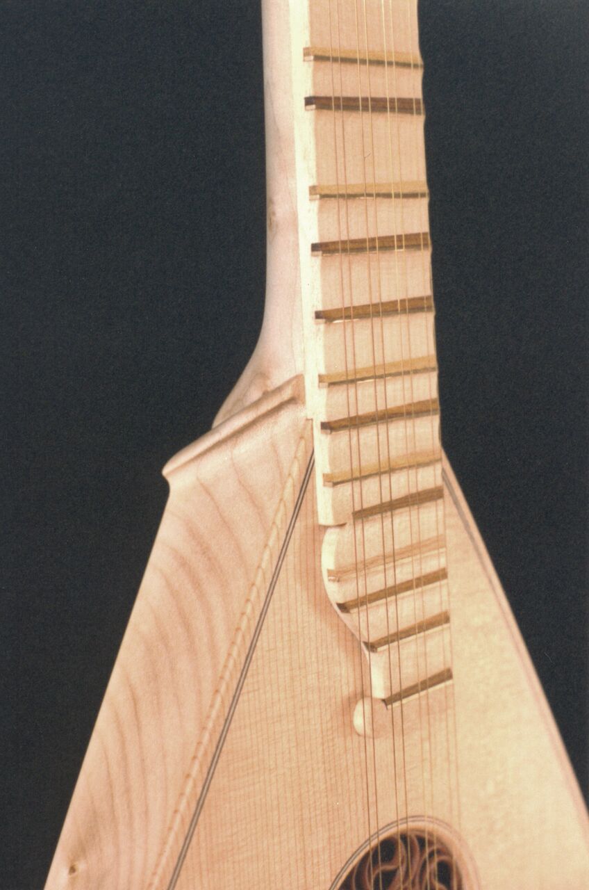 Campi Cittern detail 1 - edited_preview.jpeg