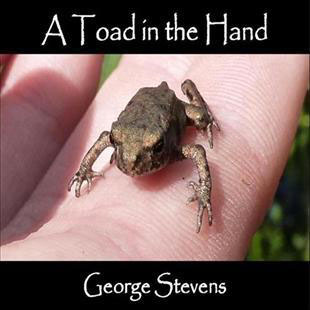 toad.jpg