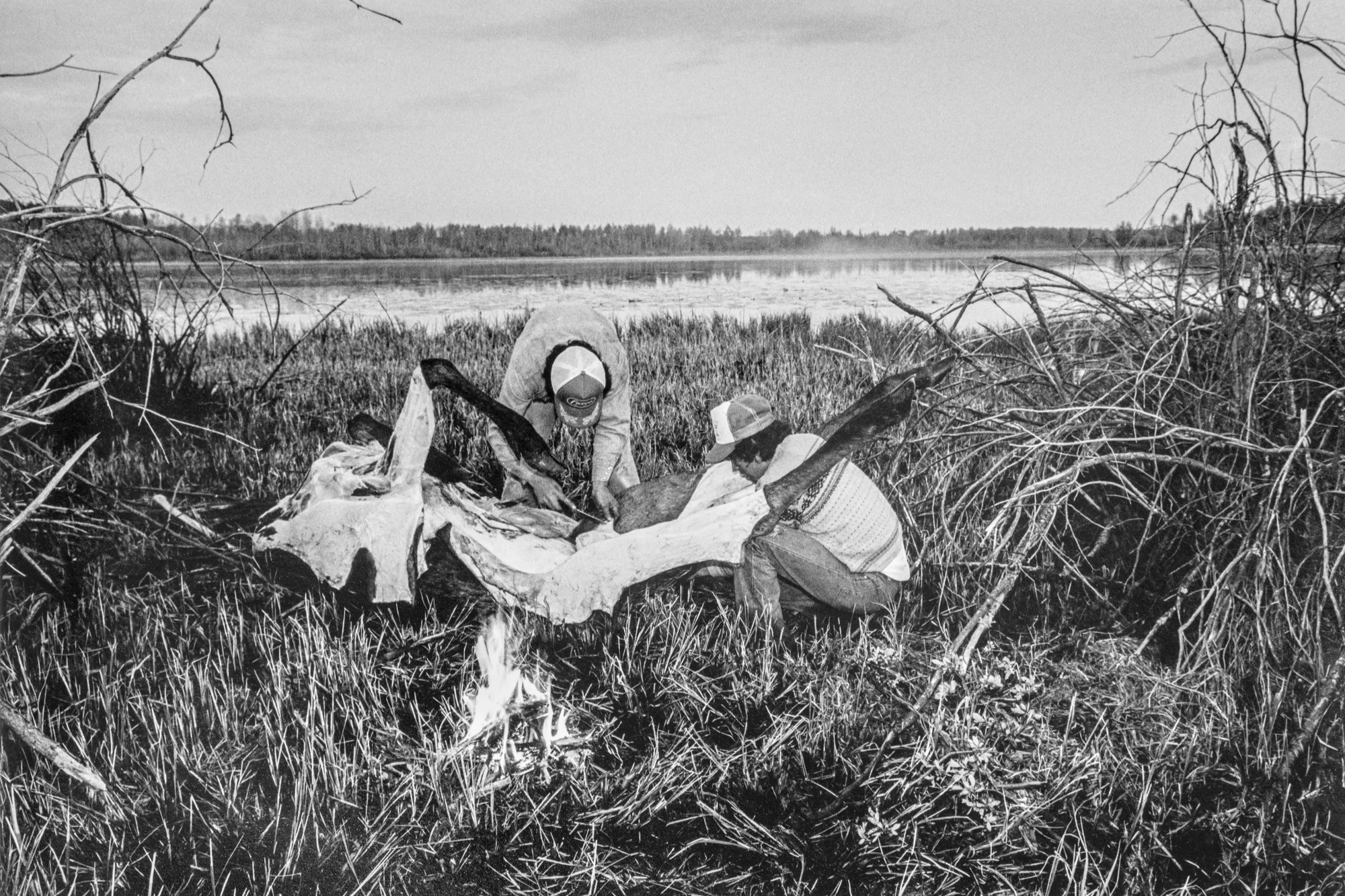 Frank and Robert Pruden skinning a moose, Crooked Lake, Kikino Metis Settlement