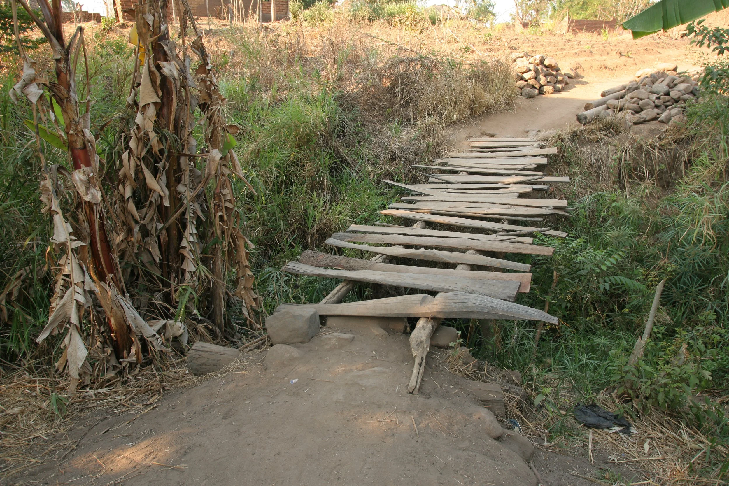 A narrow dirt footpath with small wooden planks forming a makeshift bridge over a dry patch, flanked by tall, dry grass and dried banana plants.